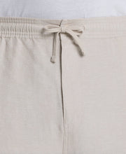 Big & Tall D-String Cargo Short (Island Fossil) 