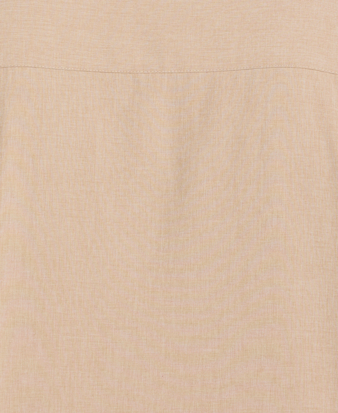 Big & Tall Chambray Geo Embroidery Shirt (Island Fossil) 