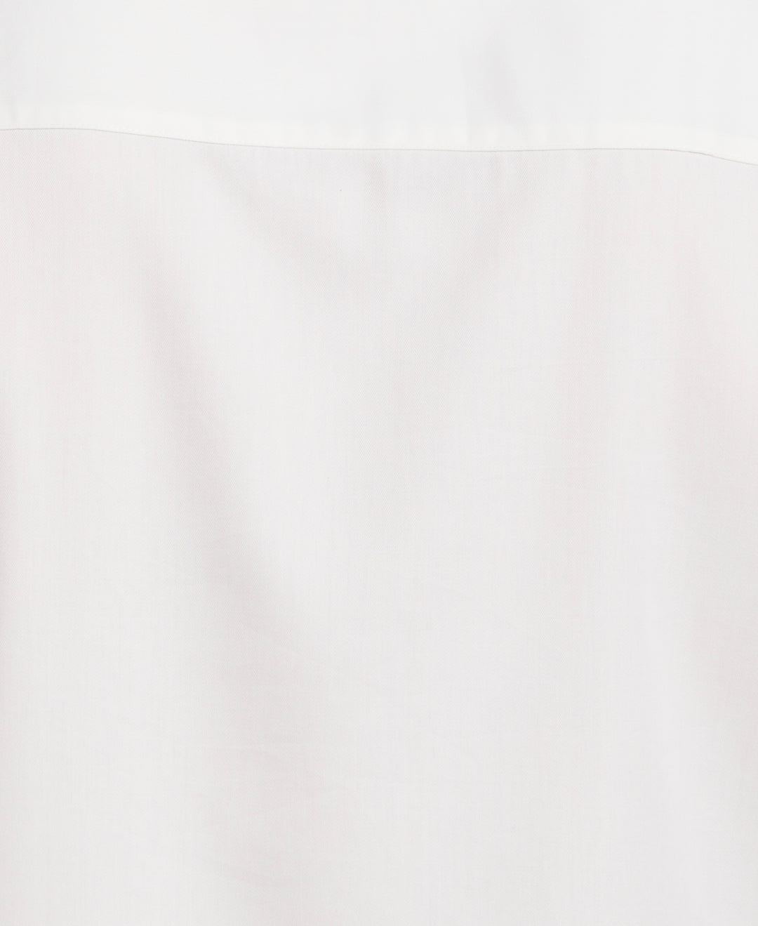 Big & Tall Ombre Embroidery Panel Shirt (Brilliant White) 