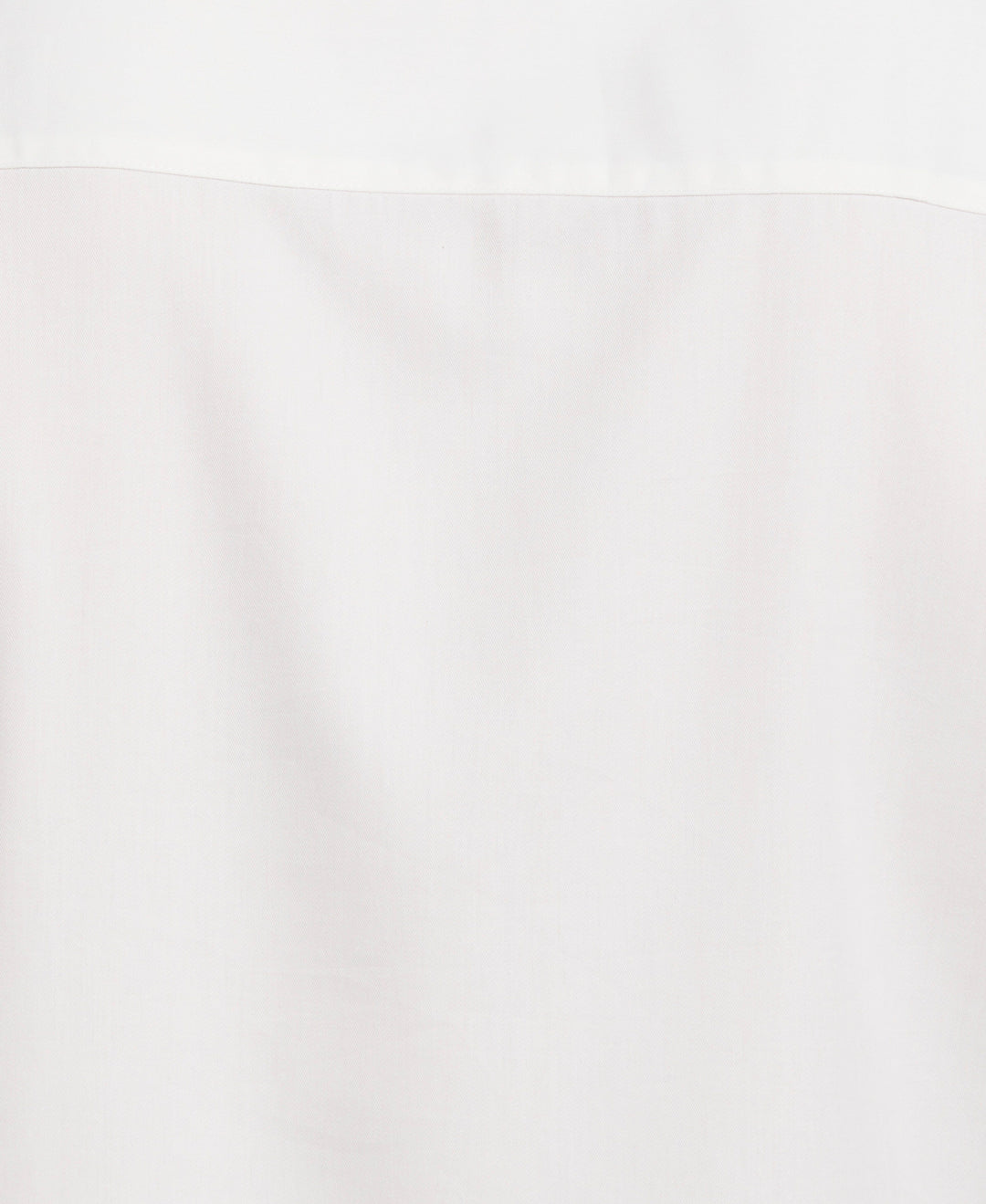 Big & Tall Ombre Embroidery Panel Shirt (Brilliant White) 