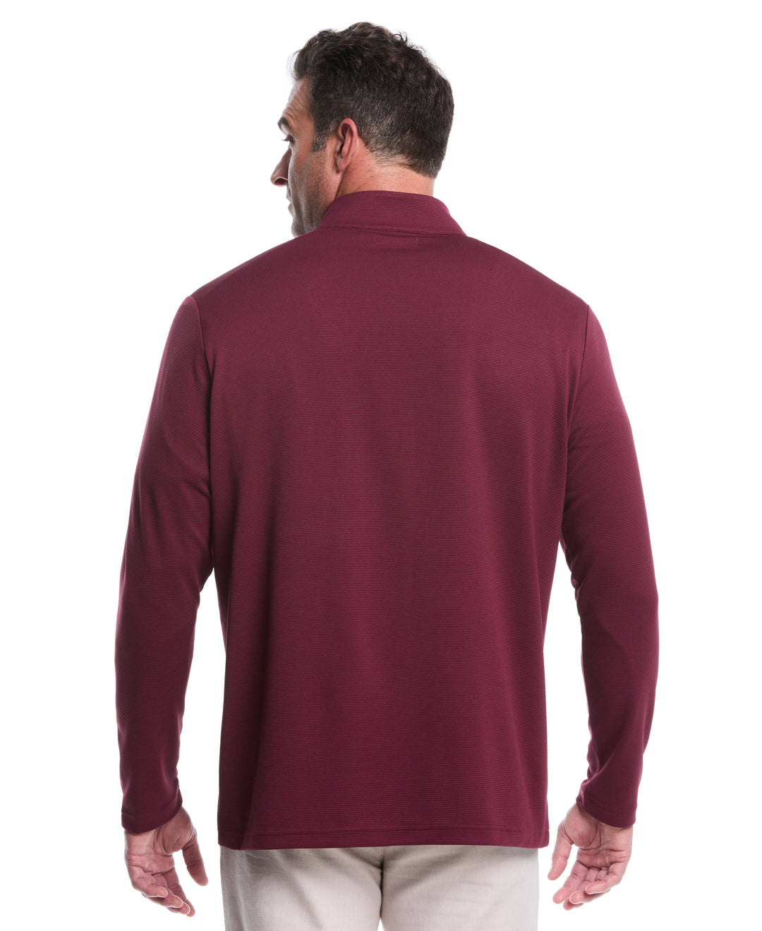 Big & Tall 1/4 Zip Long Sleeve Sweater (Windsor Wine) 
