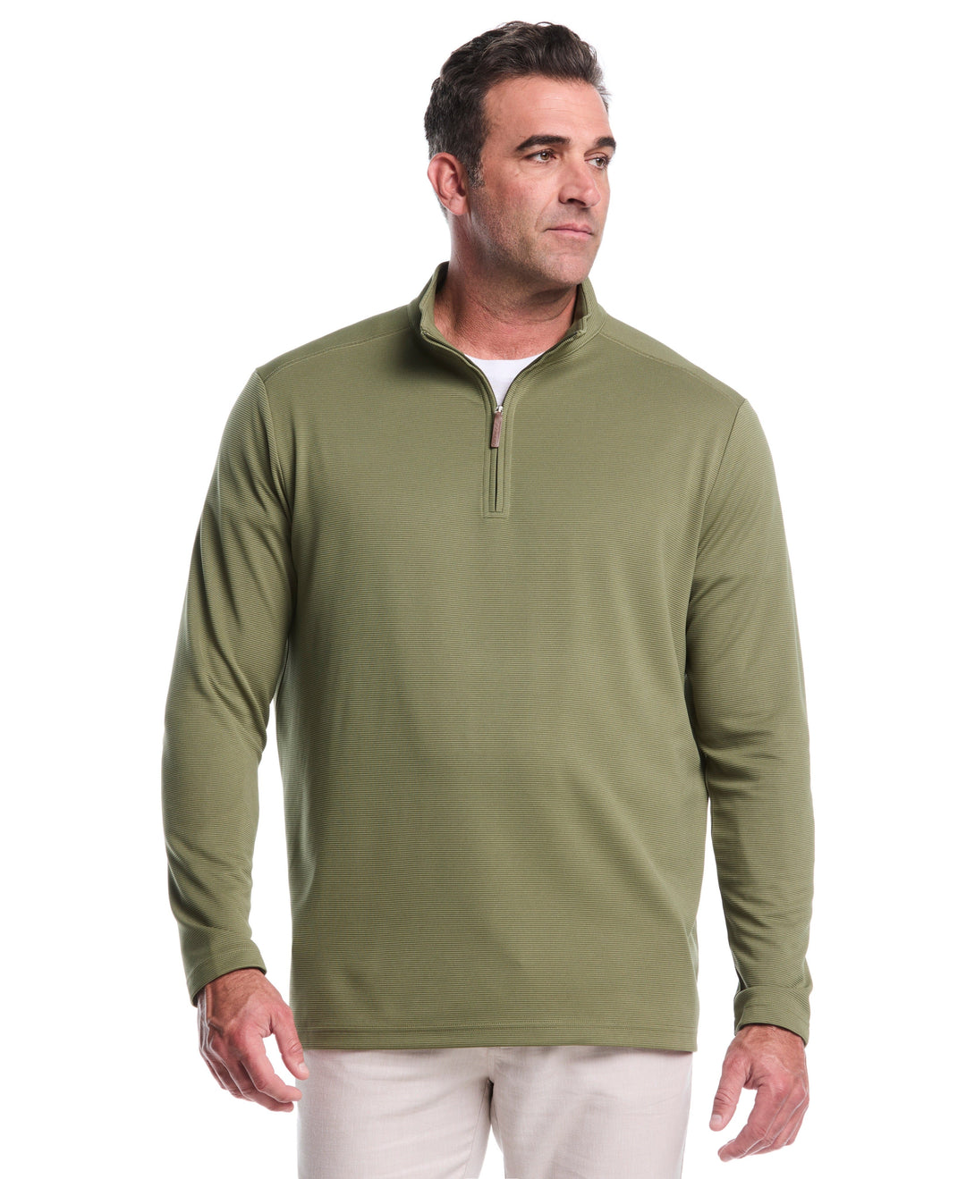 Big & Tall 1/4 Zip Long Sleeve Sweater (Olivine) 