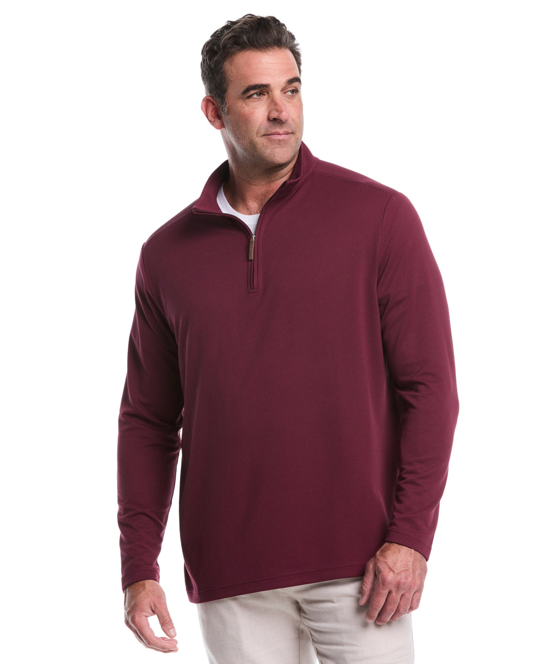 Big & Tall 1/4 Zip Long Sleeve Sweater (Windsor Wine) 