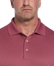 Big & Tall Solid Textured Polo (Hawthorn Rose) 