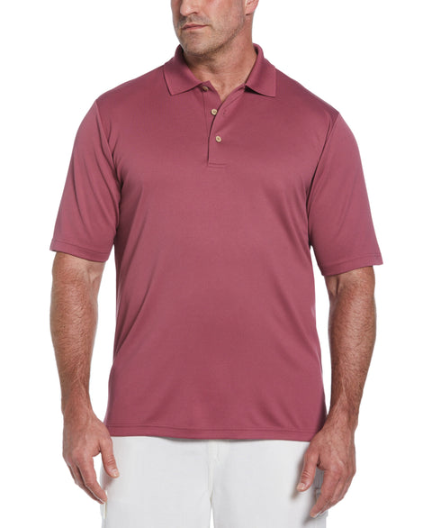 Big & Tall Solid Textured Polo (Hawthorn Rose) 