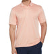 Select color Tropical Peach
