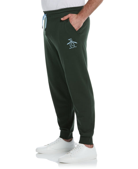 Big & Tall Organic Cotton Fleece Logo Pant (Deep Forest) 