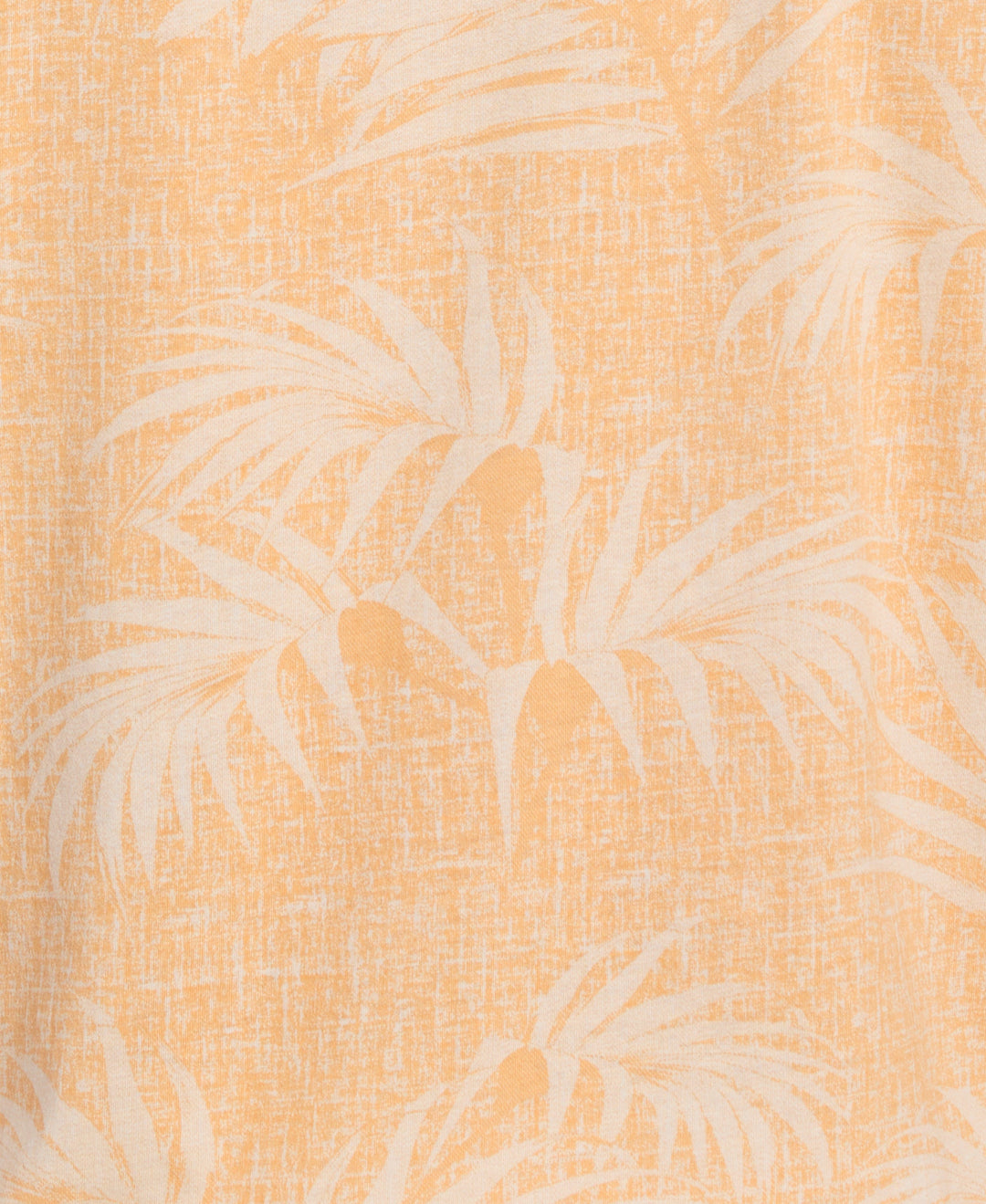 Tropical Polo (Apricot Cream) 