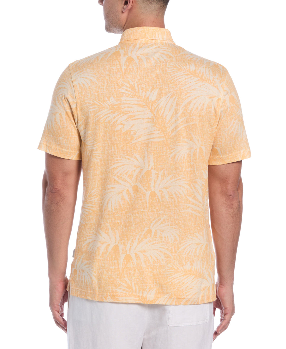 Tropical Polo (Apricot Cream) 